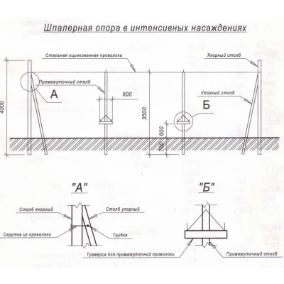 Столбик железобетонный для виноградарства, садоводства и ограждений С-4.8-3 (14х14)
